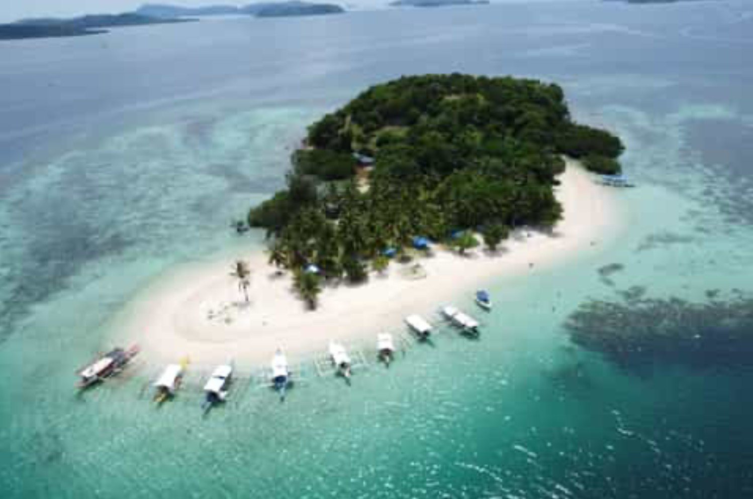 Turtle Island