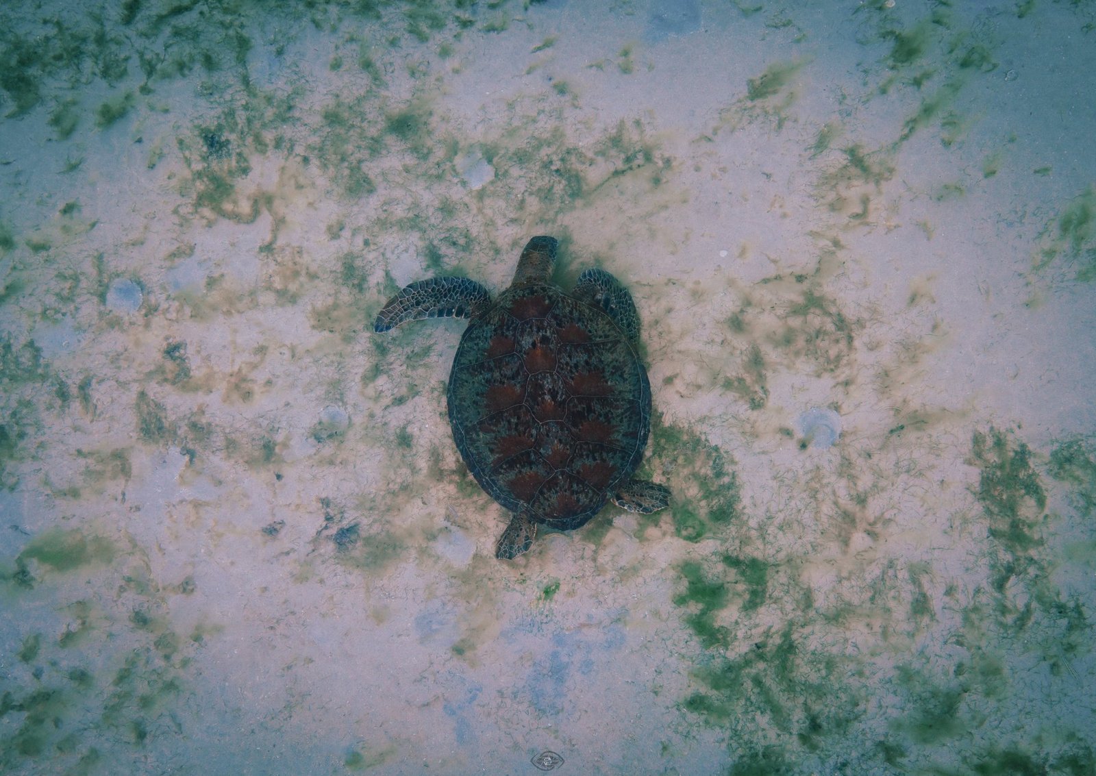 Debangan Island