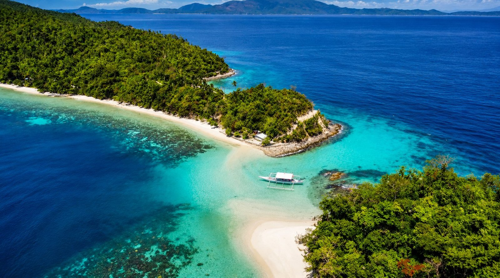 Exotic Island