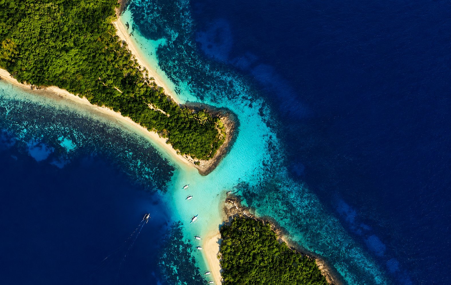 Exotic Island